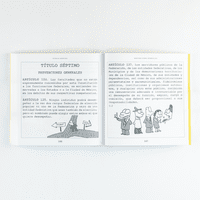 La constitución ilustrada 100 años La constitución ilustrada 100 años