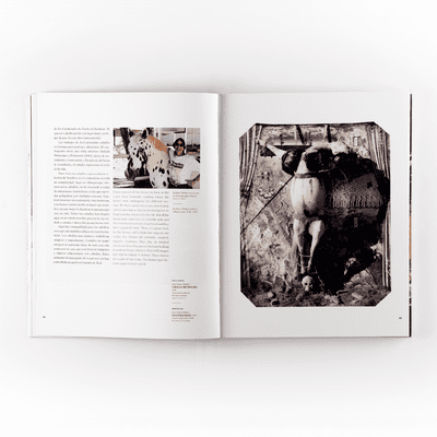 Witkin & Witkin Witkin & Witkin